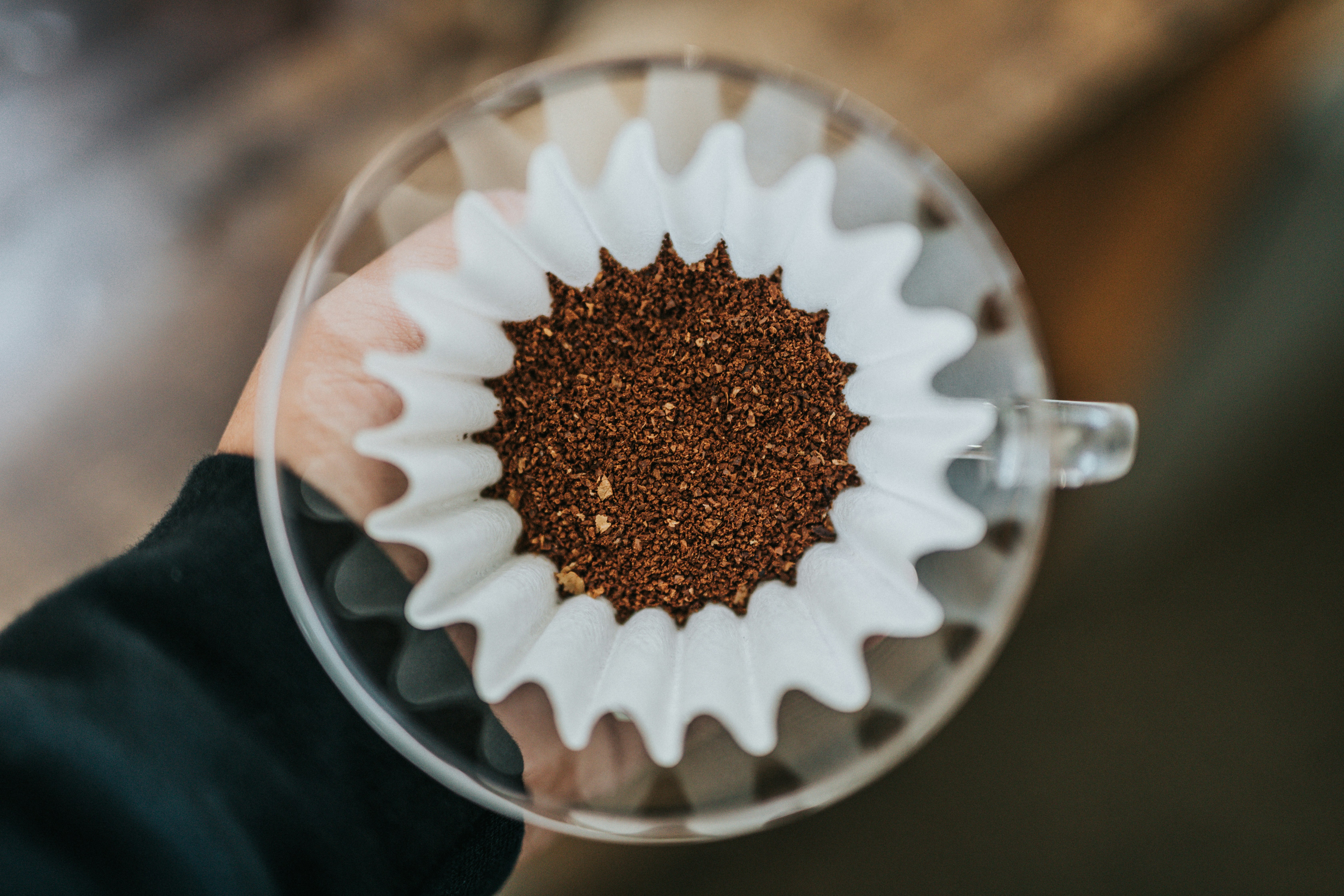 filtros de café